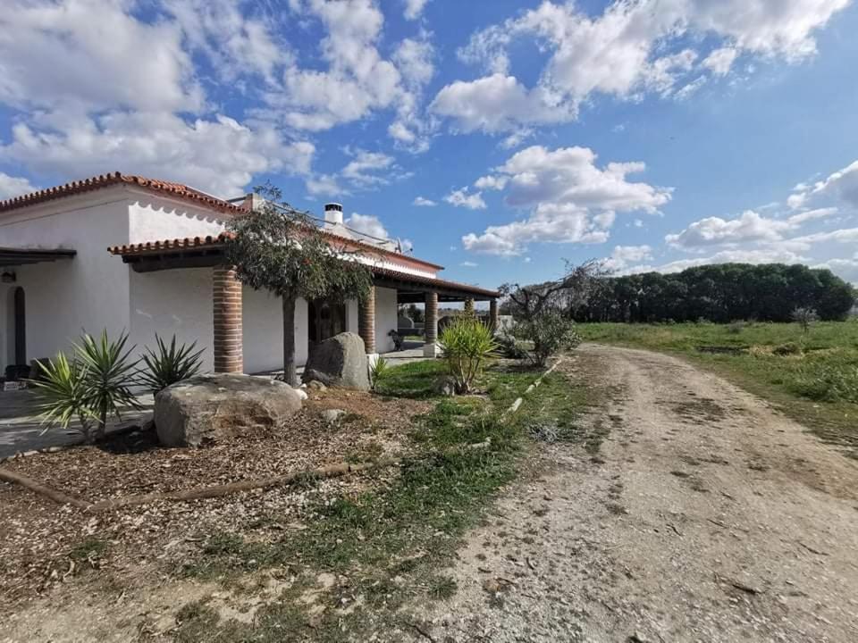 雷根古什-迪蒙萨拉什Quinta Da Belavista别墅 外观 照片